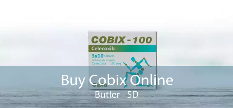 Buy Cobix Online Butler - SD